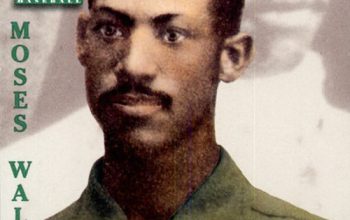 Moses Fleetwood Walker Player Profile